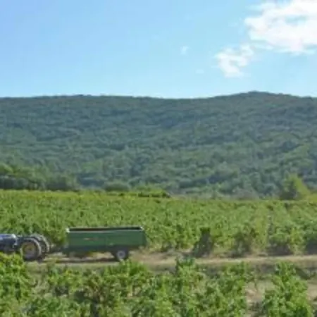 Tranquil With Pool View Vila Cornillon