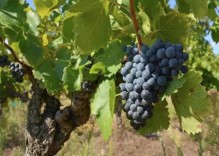 Villa Tranquil With Pool View