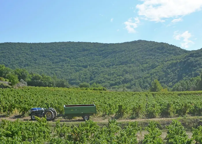 Tranquil With Pool View * Cornillon